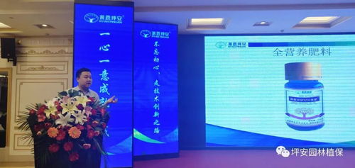 技術塑魂，服務立身 上海網絡技術服務的創新與實踐之路