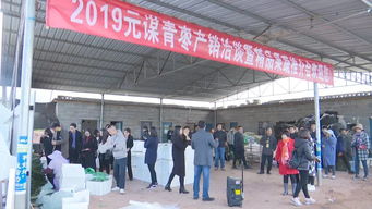 元謀蔬菜種業(yè)博覽會(huì) 拓展交流打造綠色食品牌，文化藝術(shù)交流活動(dòng)增添新活力